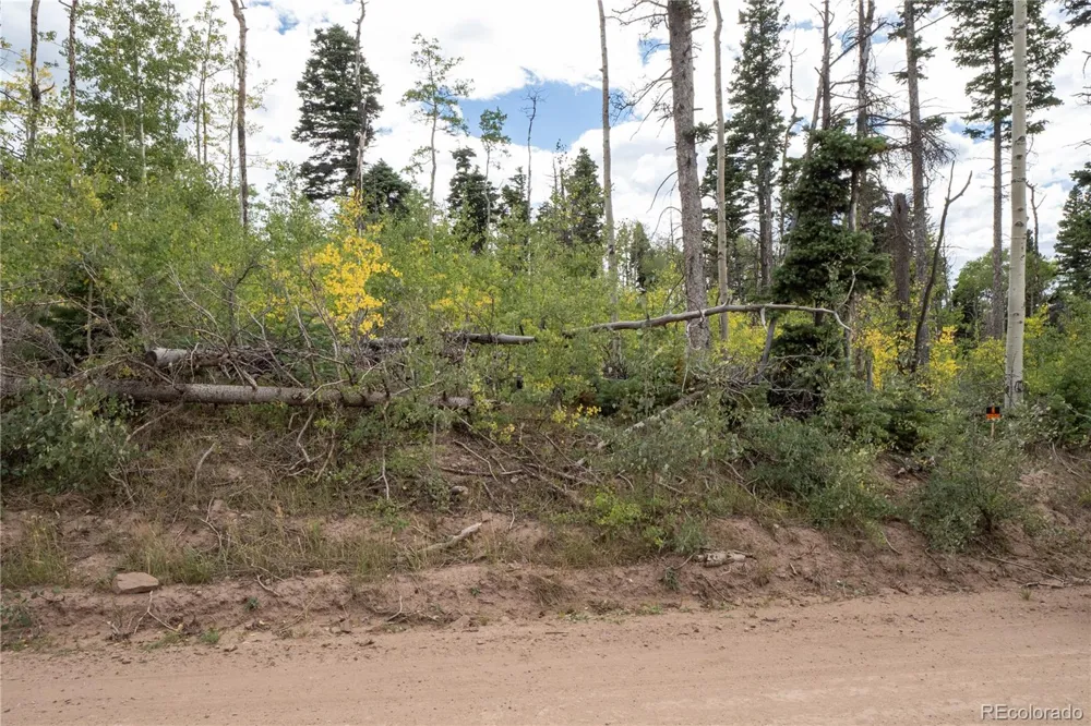 Lot 2614 Petito Drive Fort Garland, CO 81133