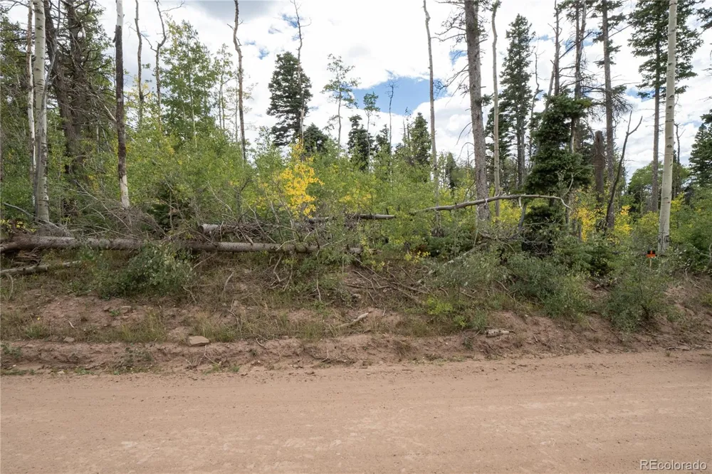 Lot 2614 Petito Drive Fort Garland, CO 81133
