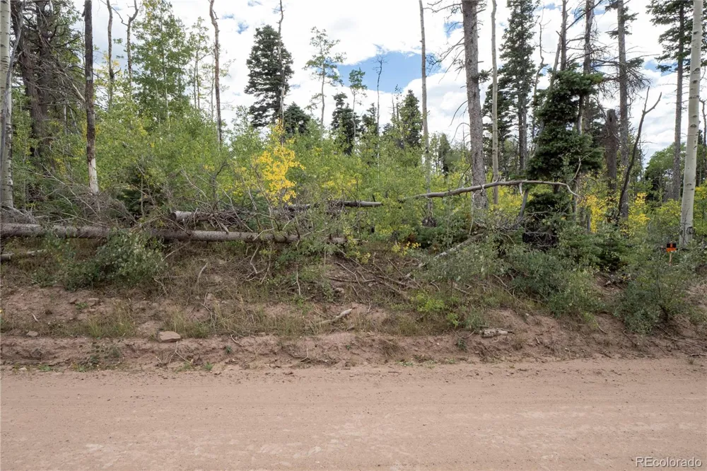Lot 2614 Petito Drive Fort Garland, CO 81133
