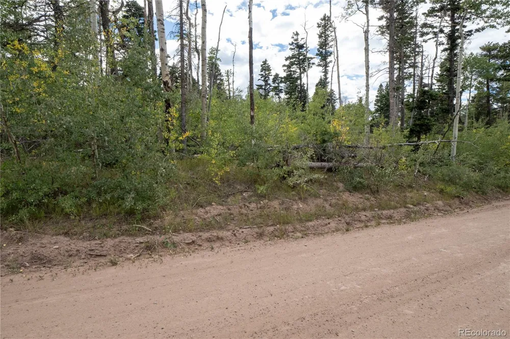 Lot 2614 Petito Drive Fort Garland, CO 81133