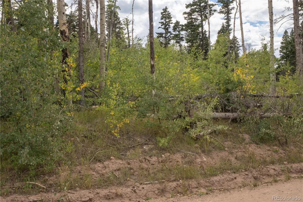 Lot 2614 Petito Drive Fort Garland, CO 81133