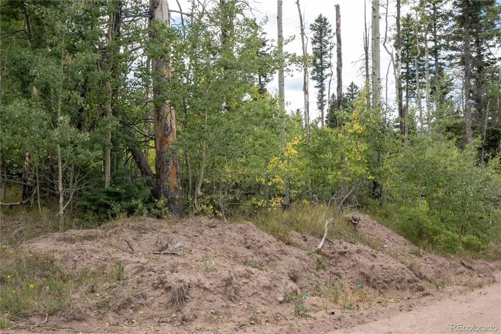 Lot 2614 Petito Drive Fort Garland, CO 81133