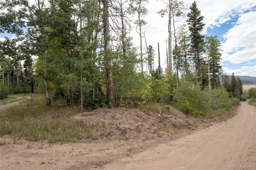 Lot 2614 Petito Drive Fort Garland, CO 81133