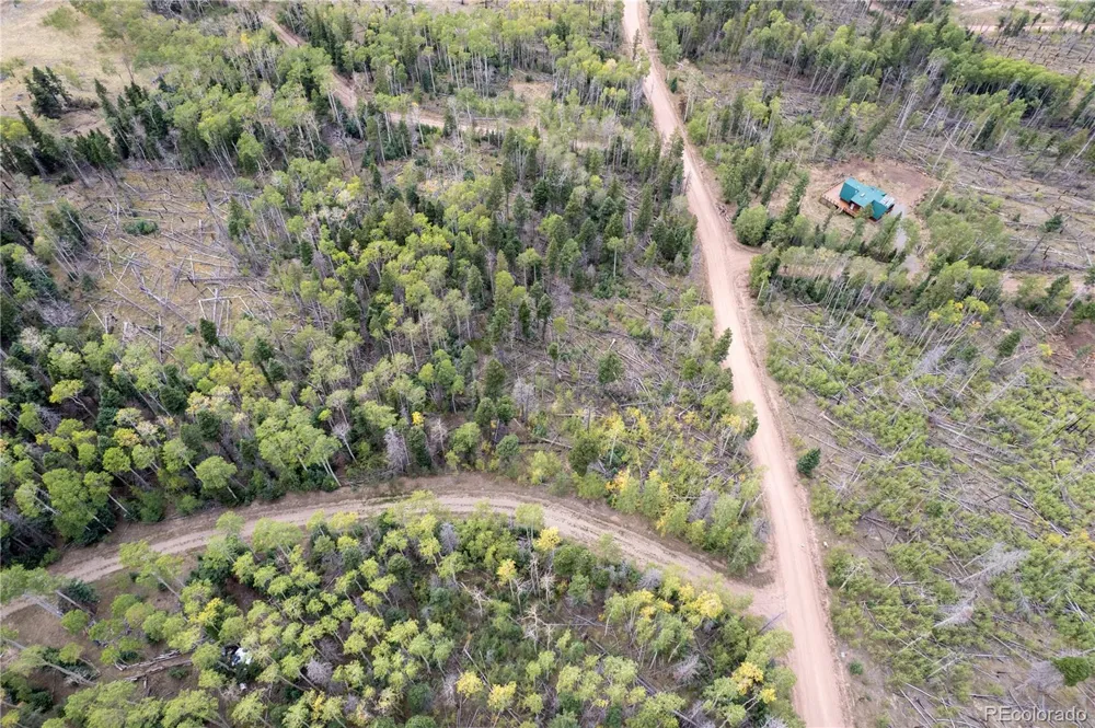 Lot 2614 Petito Drive Fort Garland, CO 81133