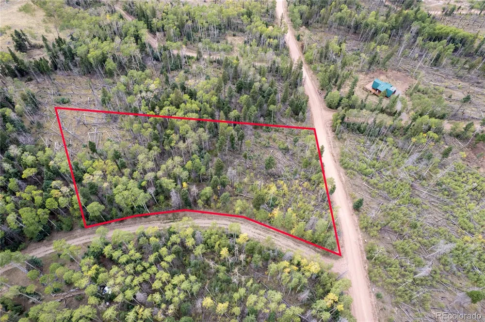 Lot 2614 Petito Drive Fort Garland, CO 81133