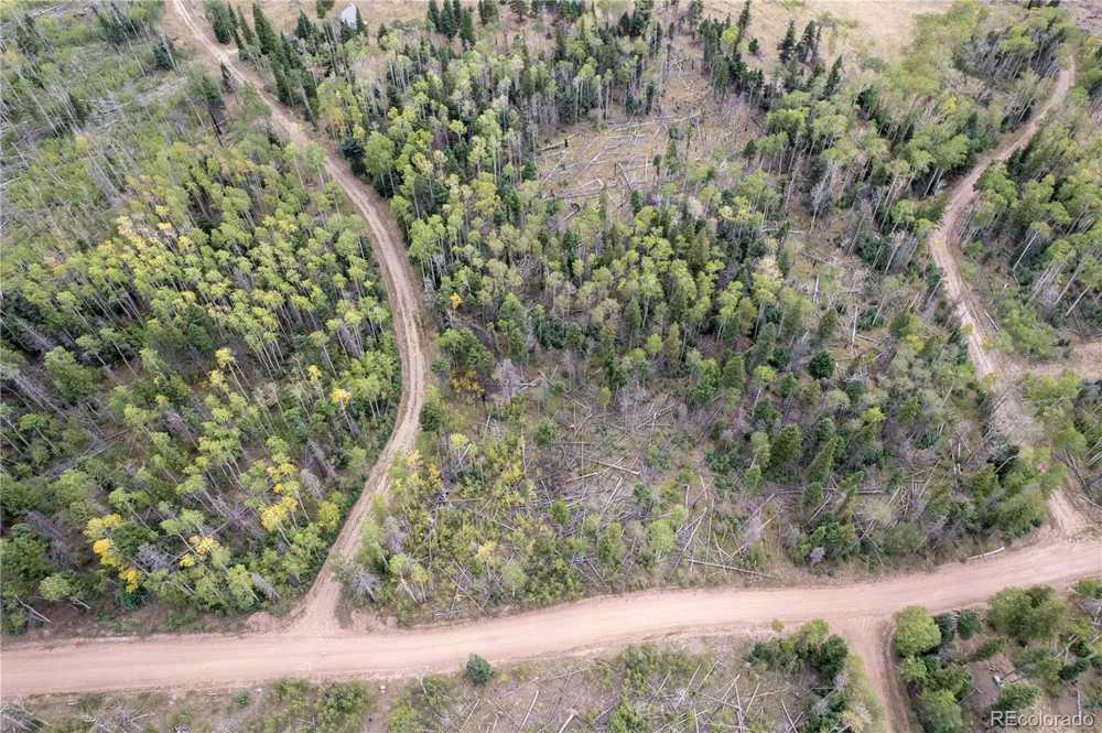 Lot 2614 Petito Drive Fort Garland, CO 81133