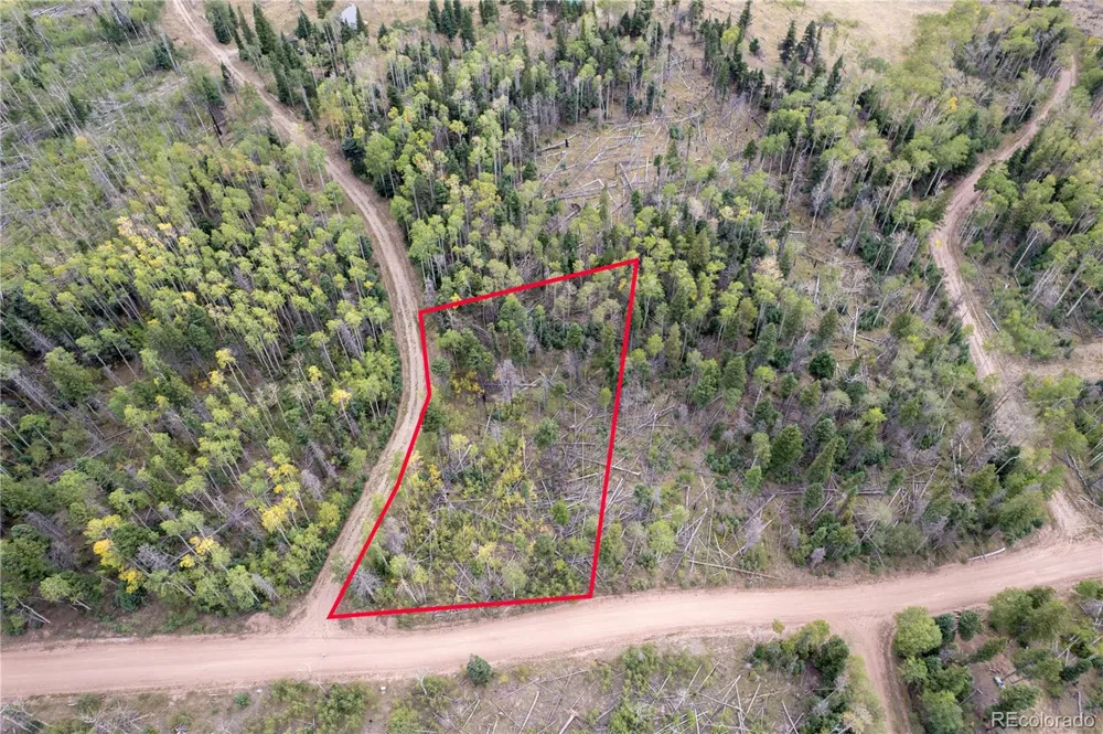 Lot 2614 Petito Drive Fort Garland, CO 81133