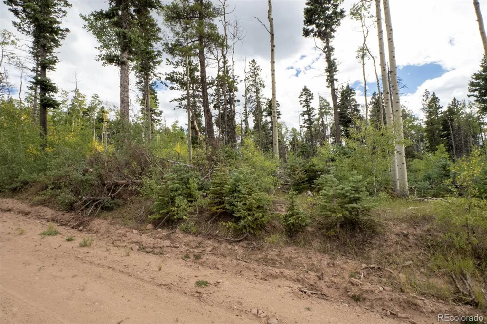 Lot 2614 Petito Drive Fort Garland, CO 81133
