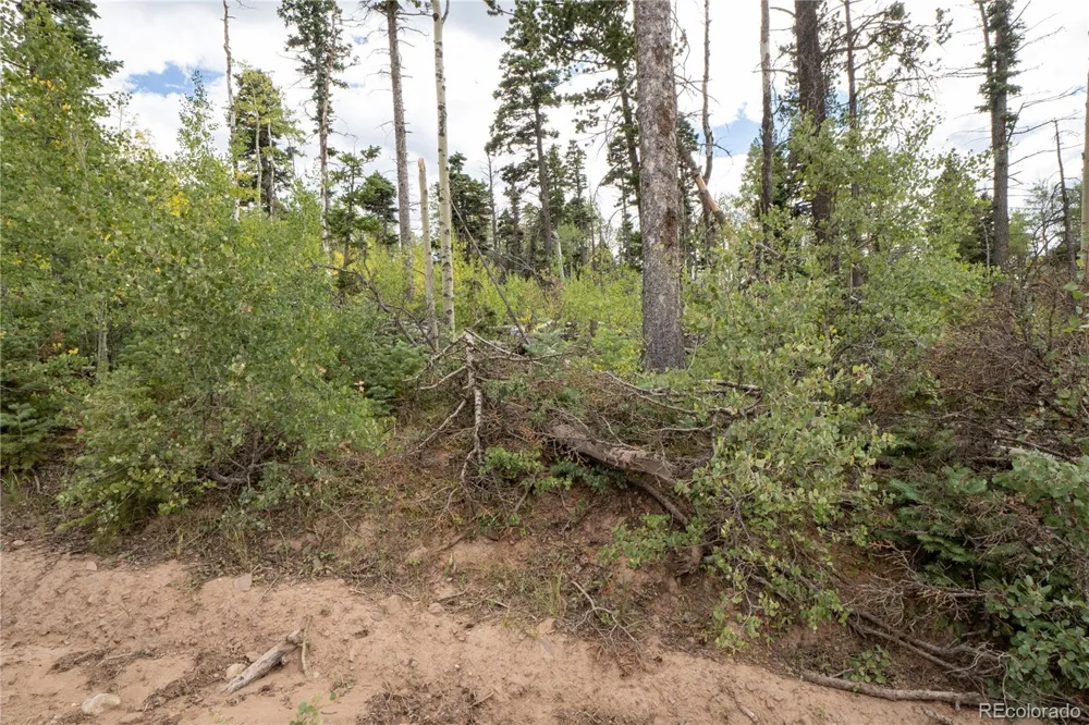 Lot 2614 Petito Drive Fort Garland, CO 81133