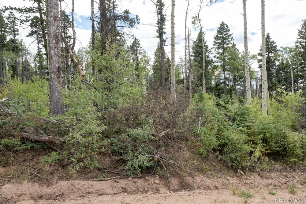 Lot 2614 Petito Drive Fort Garland, CO 81133