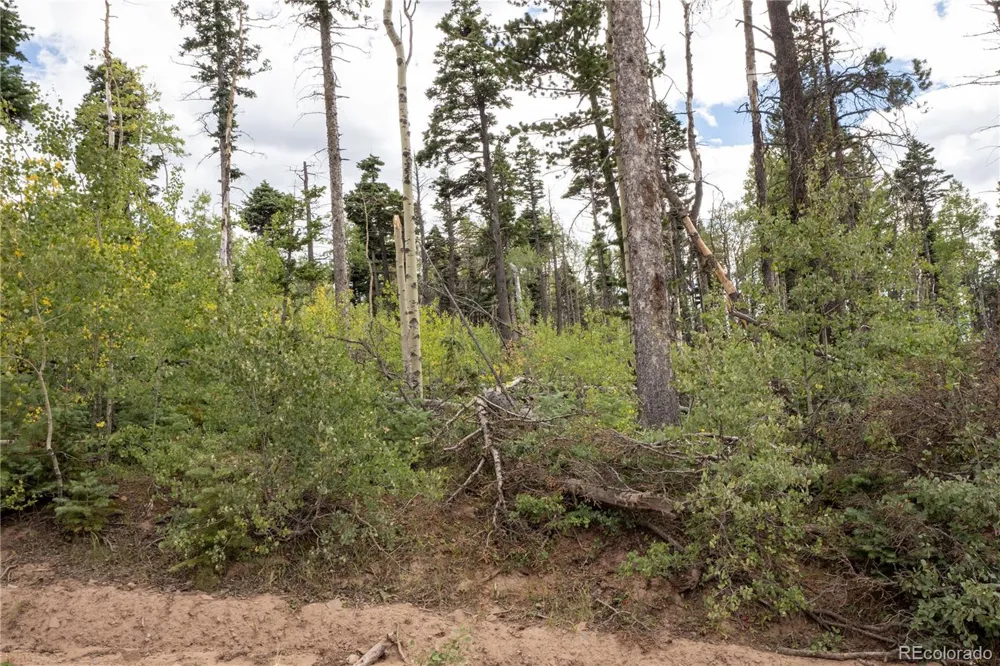 Lot 2614 Petito Drive Fort Garland, CO 81133