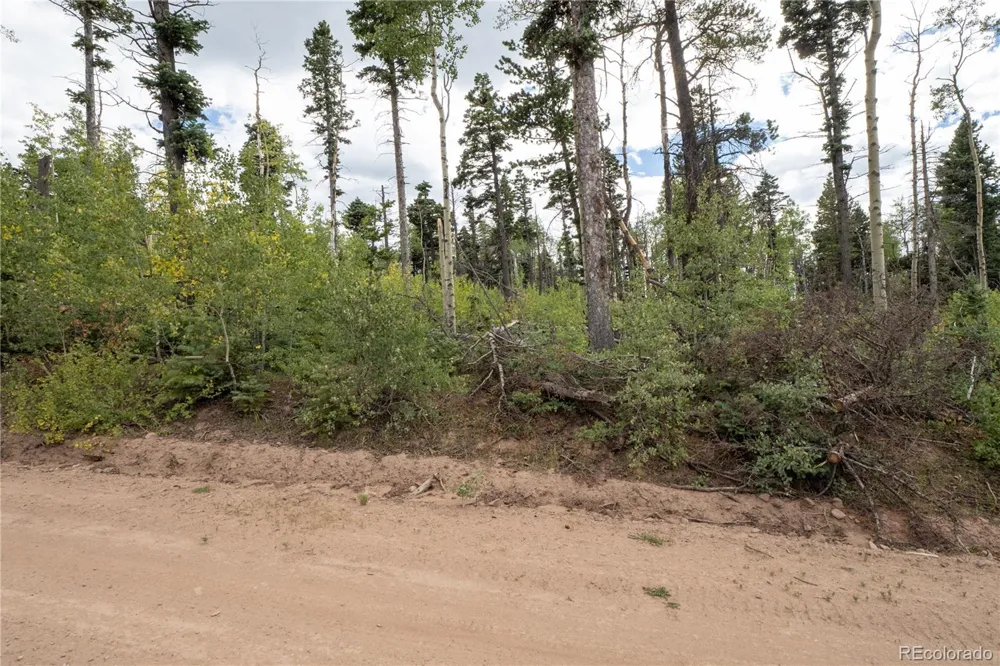 Lot 2614 Petito Drive Fort Garland, CO 81133