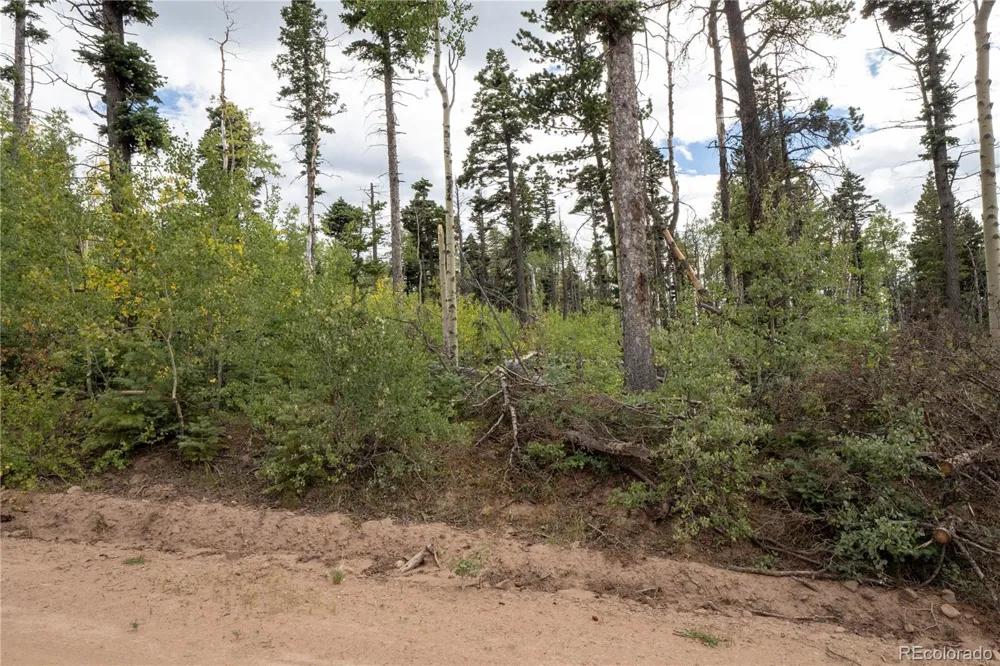 Lot 2614 Petito Drive Fort Garland, CO 81133