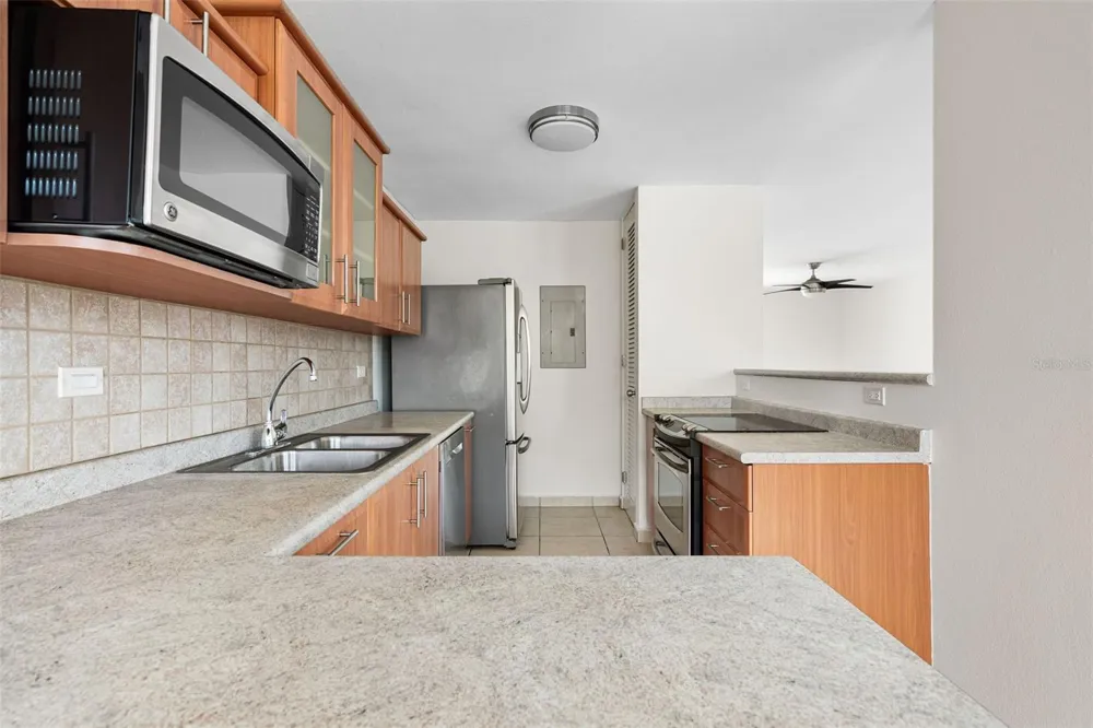 400 Grand Boulevard COND. ARMONIA #301 Caguas, PR 00725