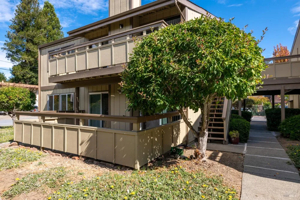 401 Pine Street Mill Valley, CA 94941