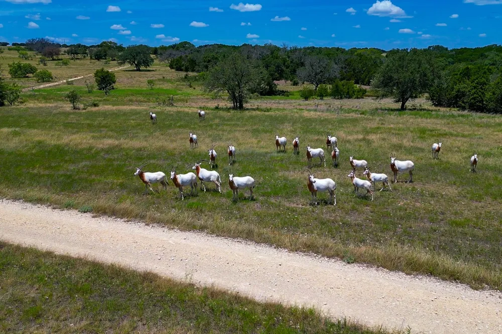 1480 Harmon Road Copperas Cove, TX 76522