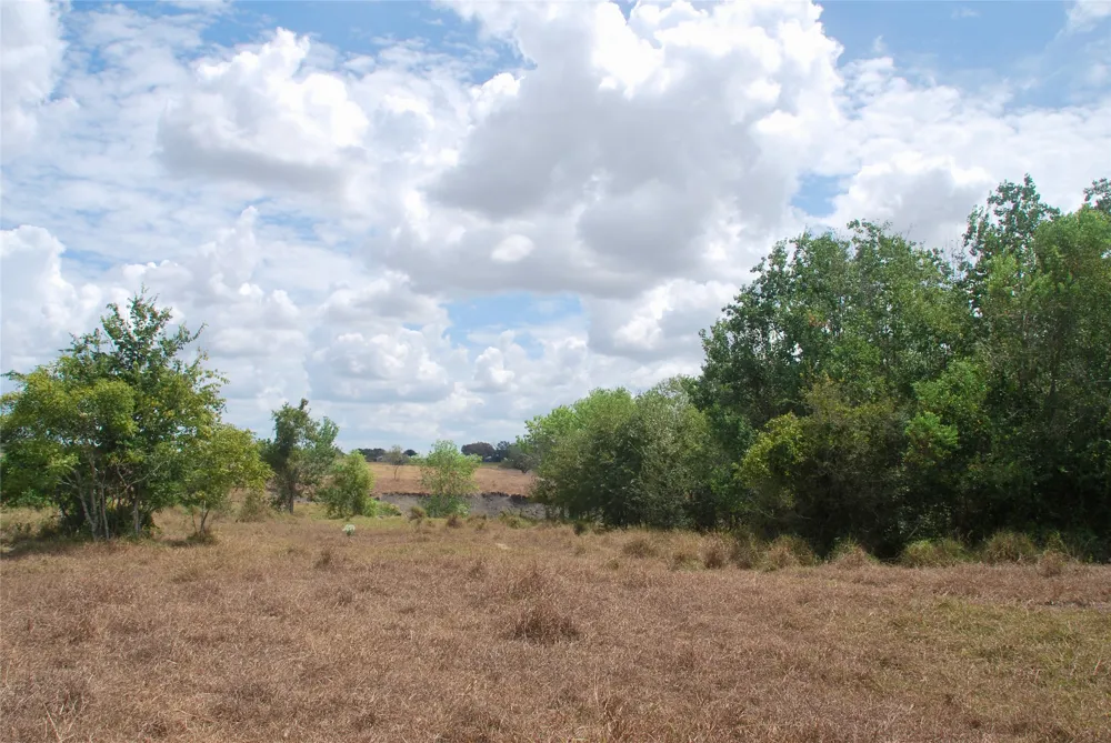 3 County Road 366 Shiner, TX 77984