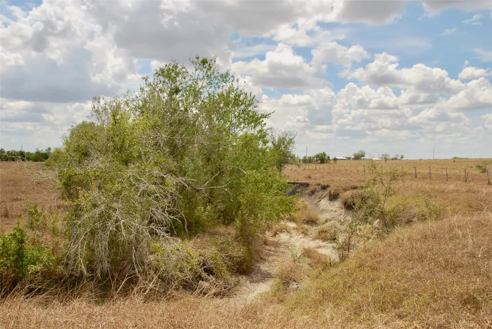 3 County Road 366 Shiner, TX 77984