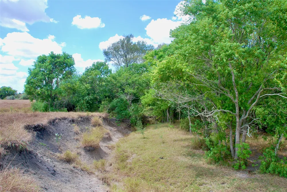 3 County Road 366 Shiner, TX 77984