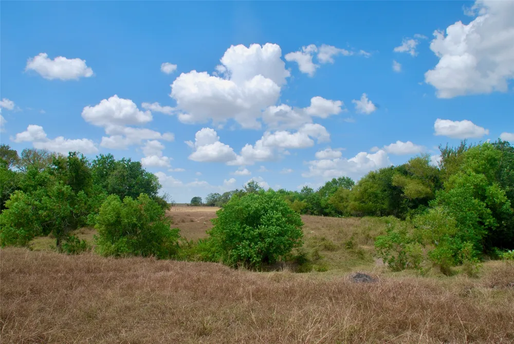 3 County Road 366 Shiner, TX 77984
