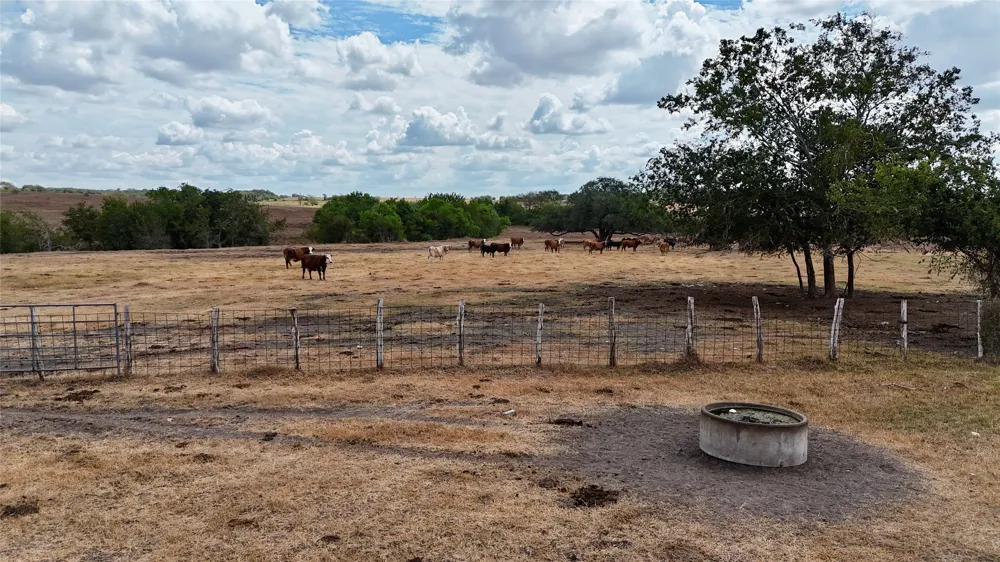 3 County Road 366 Shiner, TX 77984