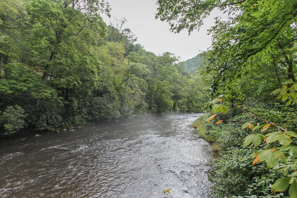 Wilderness Drive Hayesville, NC 28904