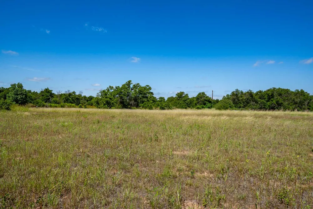County Road 335 Anson, TX 79501