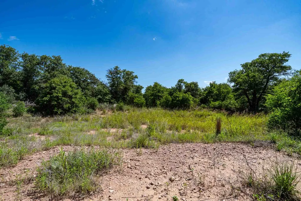 County Road 335 Anson, TX 79501