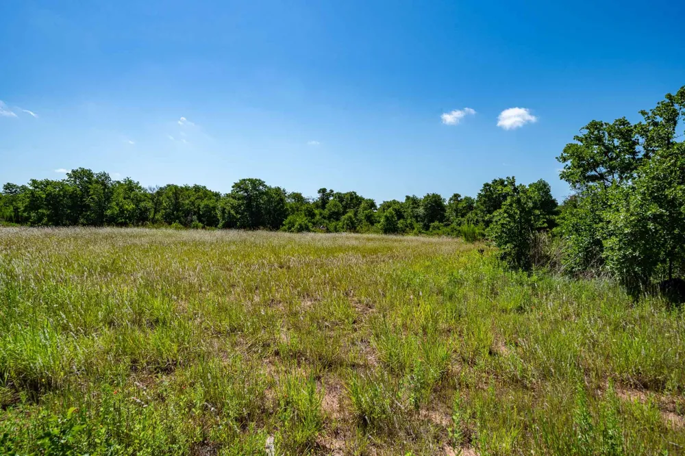 County Road 335 Anson, TX 79501