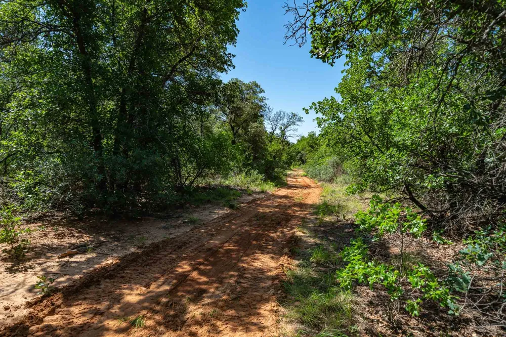 County Road 335 Anson, TX 79501