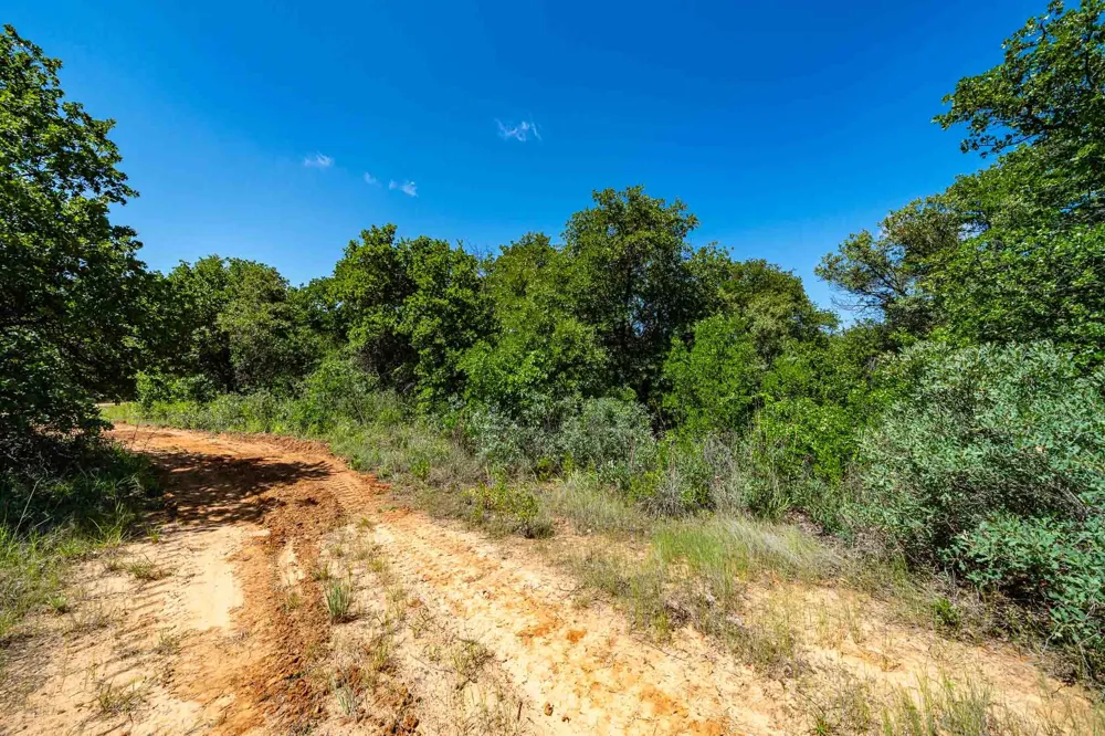 County Road 335 Anson, TX 79501