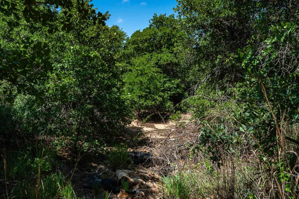 County Road 335 Anson, TX 79501