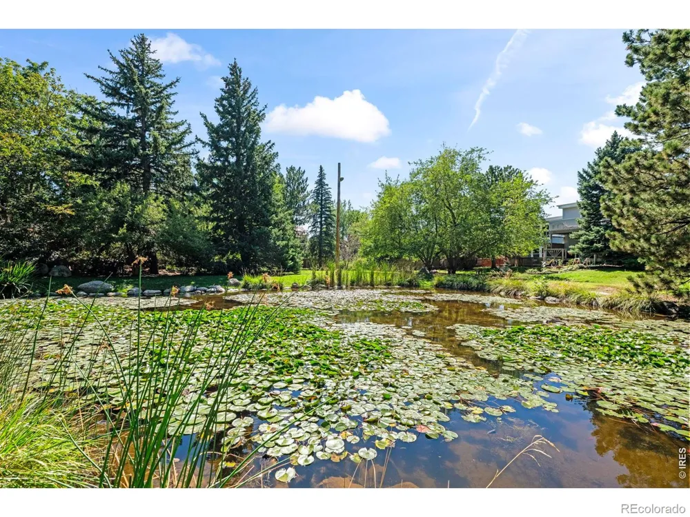 3164 29th Street Boulder, CO 80301