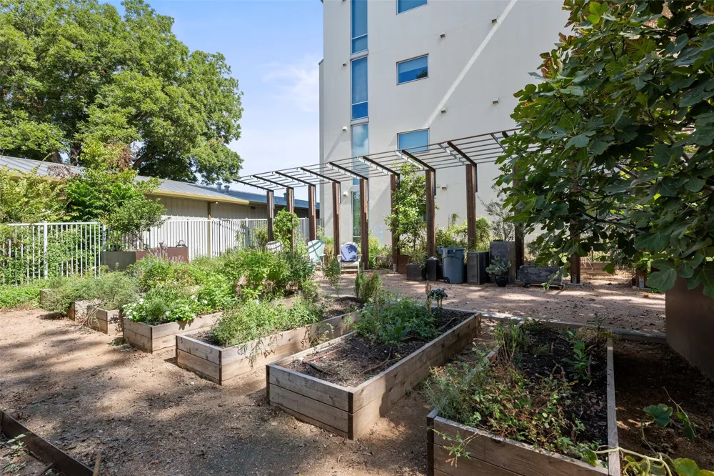 1600 Barton Springs Road #1406 Austin, TX 78704