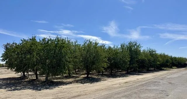16147 S Colony Street Dos Palos, CA 93620