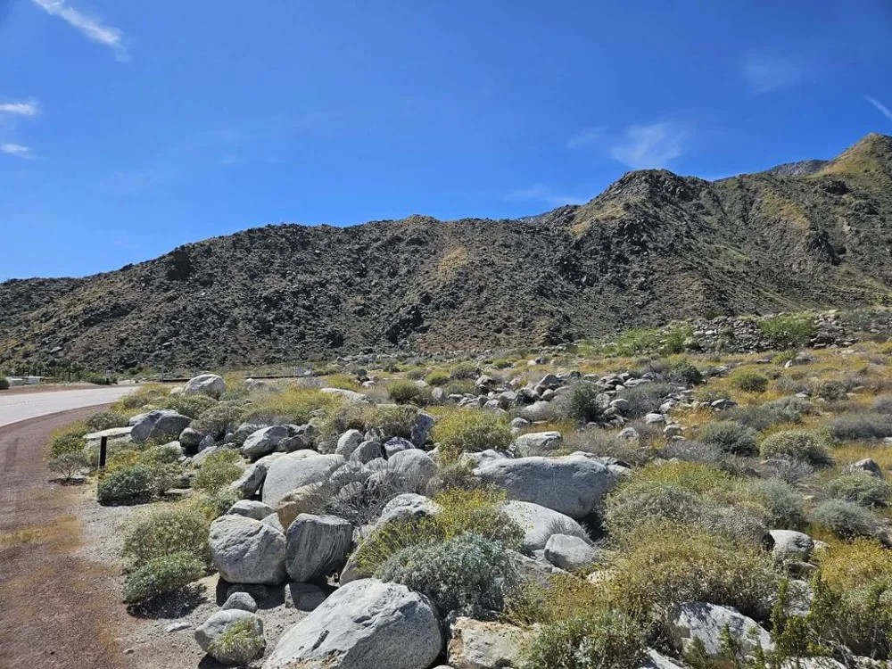 1961 Vista Palizada Drive Palm Springs, CA 92262