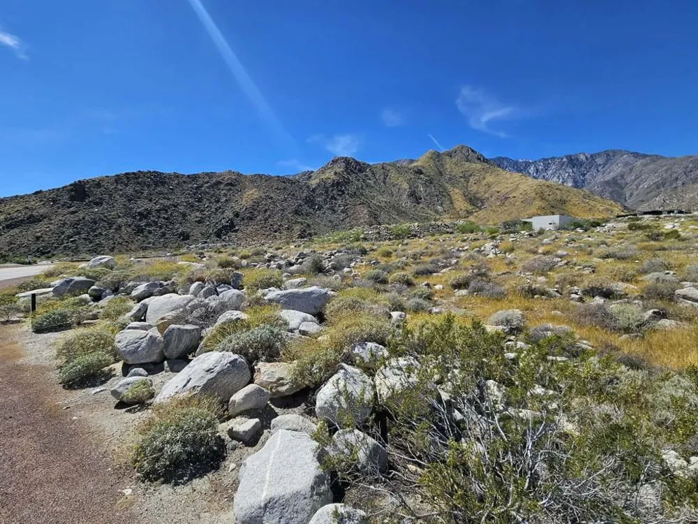 1961 Vista Palizada Drive Palm Springs, CA 92262