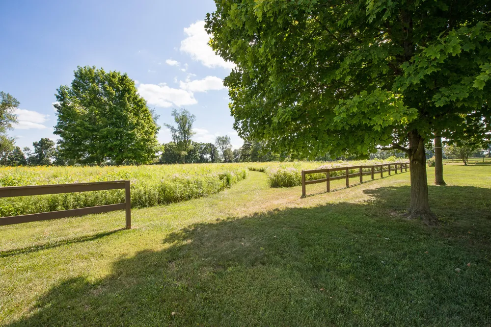 10725 Jerusalem Road Chelsea, MI 48118