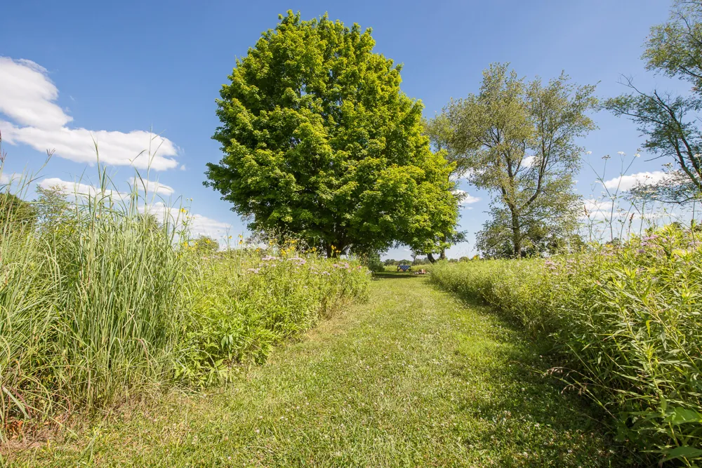 10725 Jerusalem Road Chelsea, MI 48118