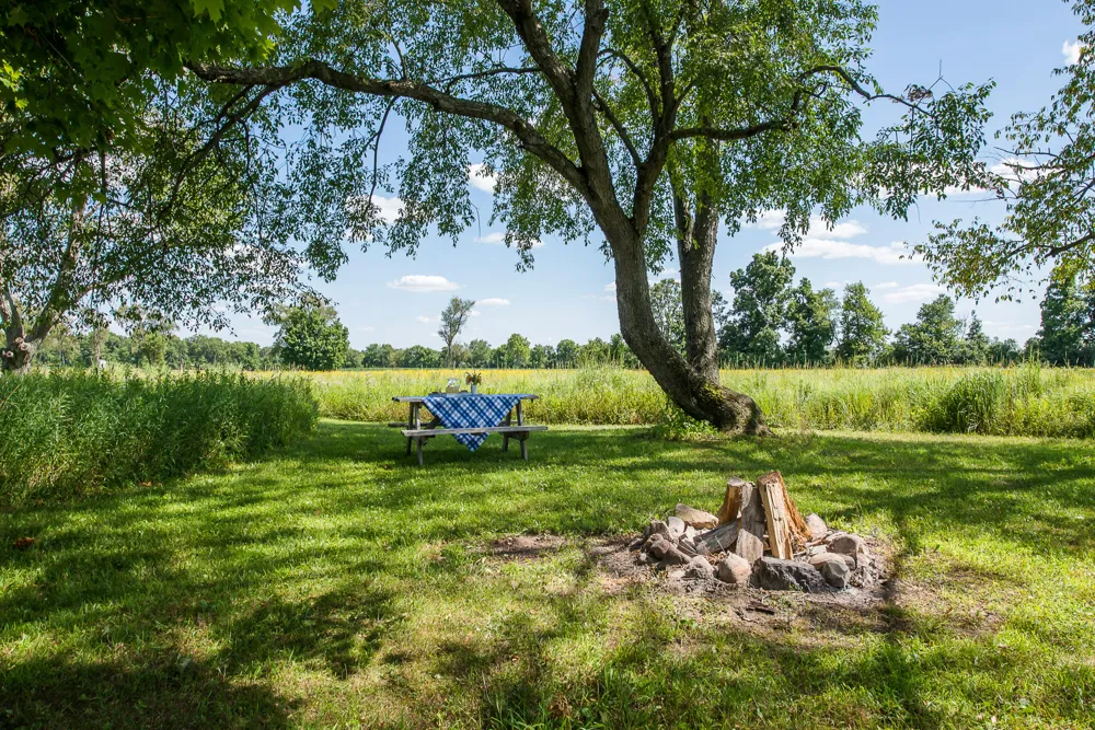 10725 Jerusalem Road Chelsea, MI 48118