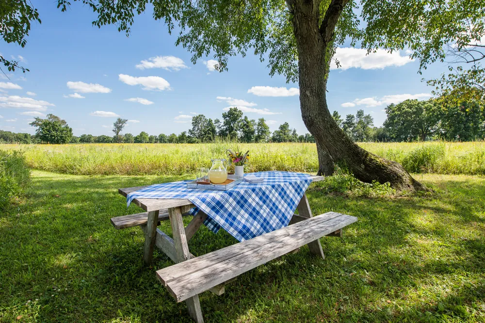 10725 Jerusalem Road Chelsea, MI 48118