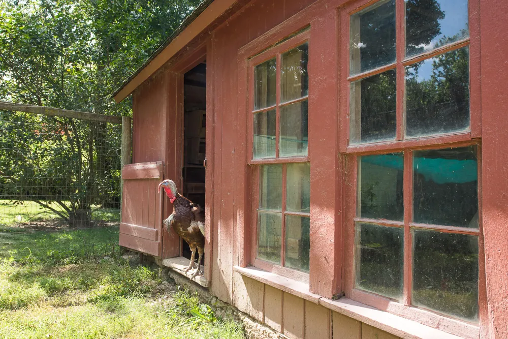10725 Jerusalem Road Chelsea, MI 48118