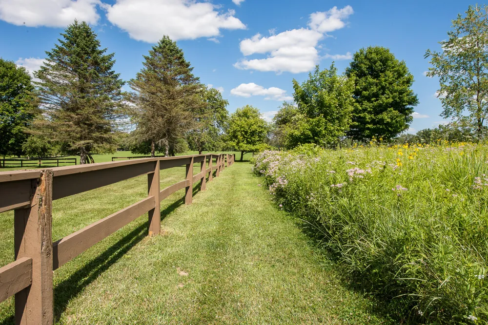 10725 Jerusalem Road Chelsea, MI 48118