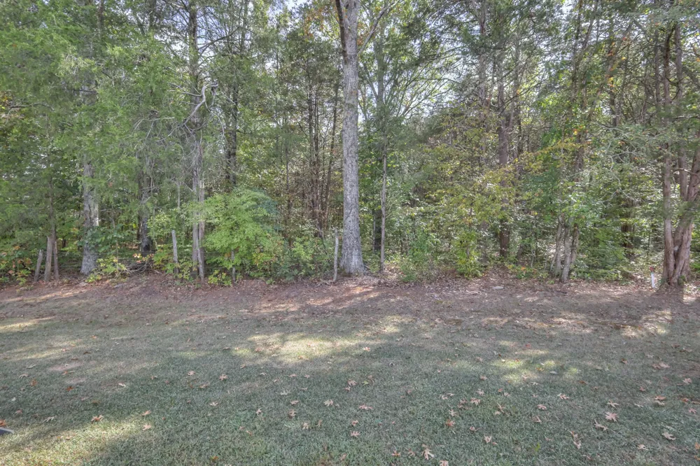 209 Addison Ave Chapel Hill, TN 37034
