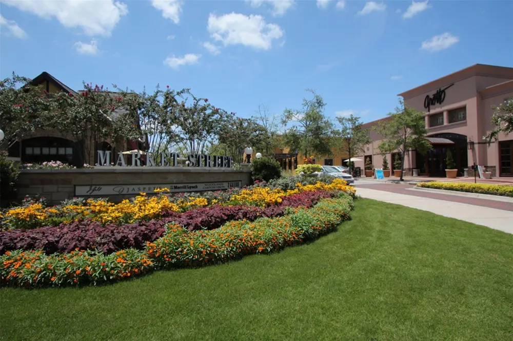 7 Mayborough Court The Woodlands, TX 77382