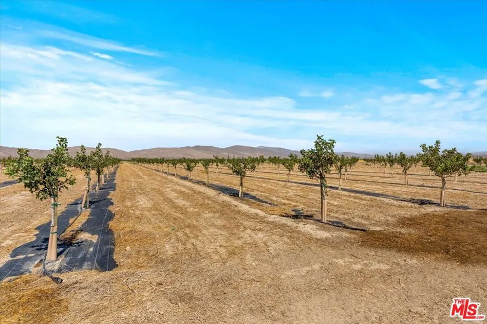 12055 Munsey Road California City, CA 93519