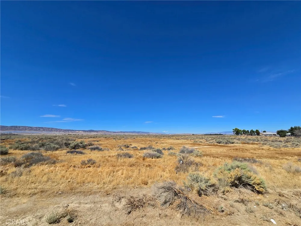45015 60th Street W Lancaster, CA 93536