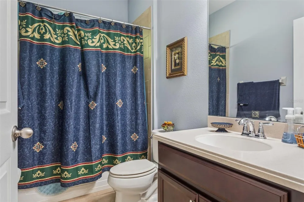 10112 CARAWAY SPICE AVENUE Riverview, FL 33578