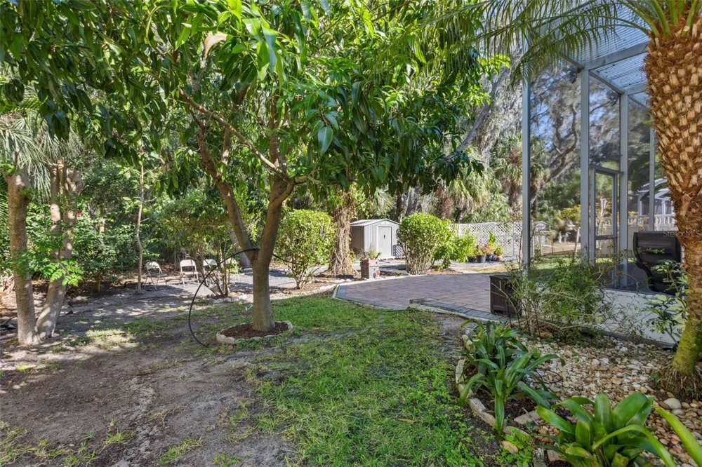10112 CARAWAY SPICE AVENUE Riverview, FL 33578