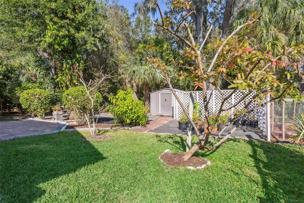 10112 CARAWAY SPICE AVENUE Riverview, FL 33578